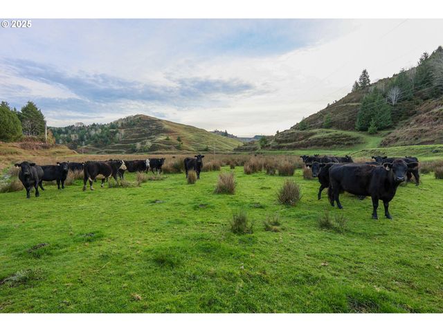 70033 LARSEN RANCH Rd, North Bend, OR 97459