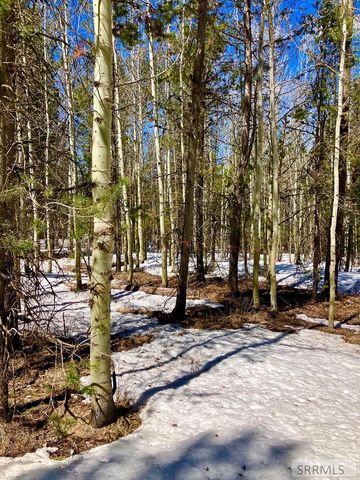 4373 Hannah's Crossing, Ashton, ID 83420