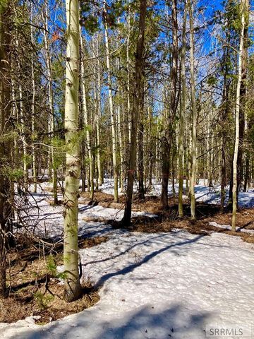 4373 Hannah's Crossing, Ashton, ID 83420