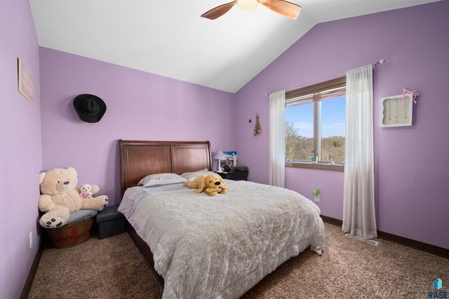 47908 Oak Ridge Pl Place, Harrisburg, SD 57032