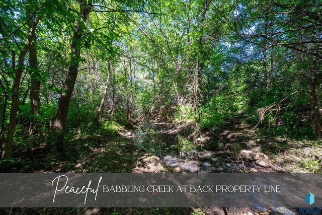 47908 Oak Ridge Pl Place, Harrisburg, SD 57032