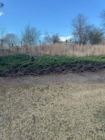 726 Bridle Creek Way, Auburn, GA 30011