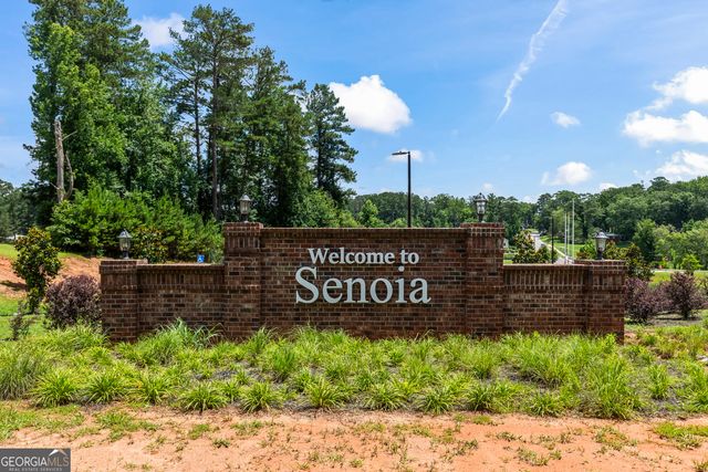 60 Rocky Bay Lane, Senoia, GA 30276