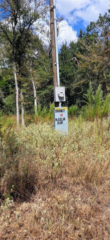 0 & 29699 Mcclellan Court W, Hempstead, TX 77355