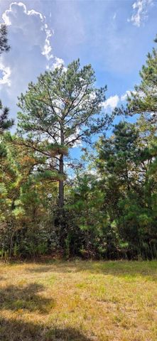 0 & 29699 Mcclellan Court W, Hempstead, TX 77355