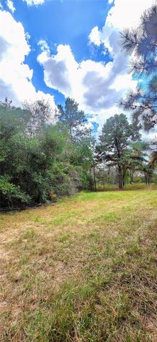 0 & 29699 Mcclellan Court W, Hempstead, TX 77355