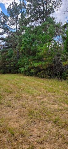 0 & 29699 Mcclellan Court W, Hempstead, TX 77355