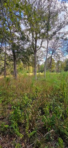 0 & 29699 Mcclellan Court W, Hempstead, TX 77355