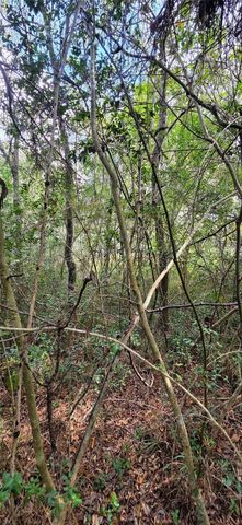 0 & 29699 Mcclellan Court W, Hempstead, TX 77355