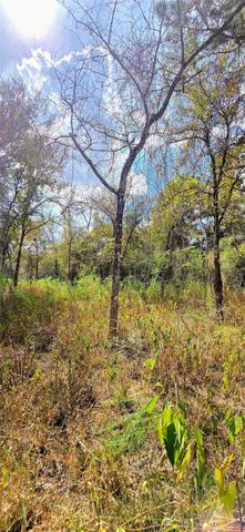 0 & 29699 Mcclellan Court W, Hempstead, TX 77355