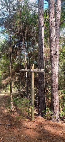 0 & 29699 Mcclellan Court W, Hempstead, TX 77355