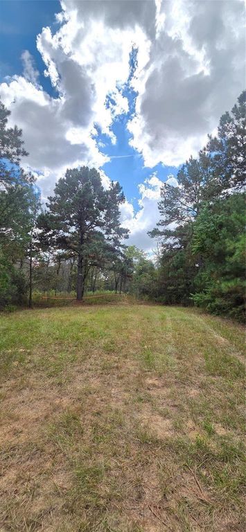 0 & 29699 Mcclellan Court W, Hempstead, TX 77355