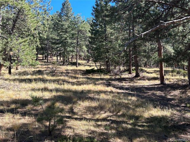 0 White House Trl, Evergreen, CO 80439