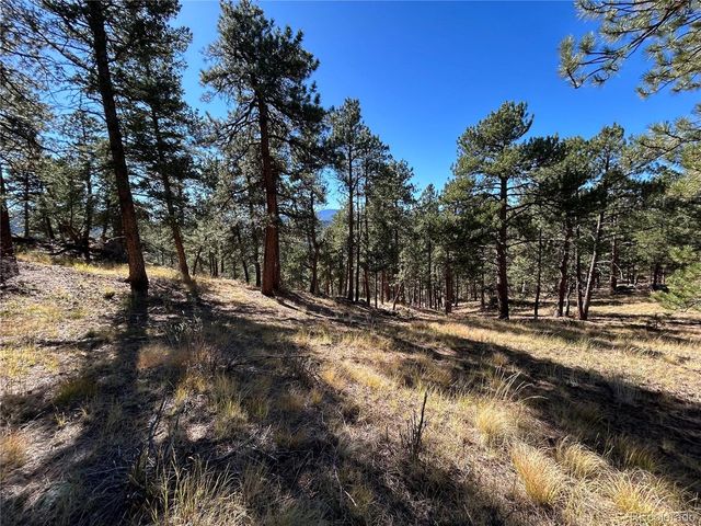 0 White House Trl, Evergreen, CO 80439