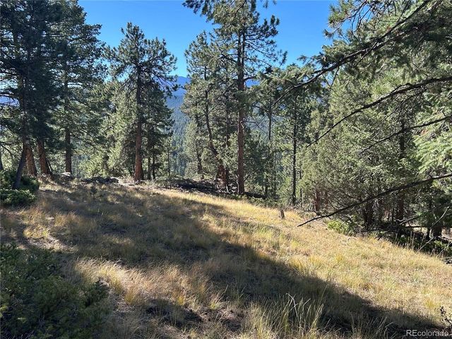 0 White House Trl, Evergreen, CO 80439