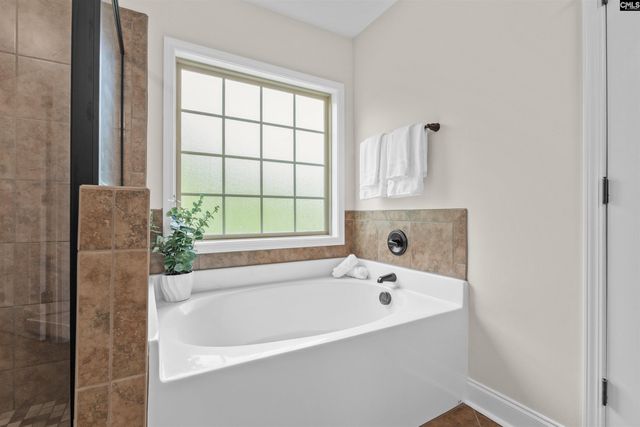 357 Bent Oak Drive, Chapin, SC 29036