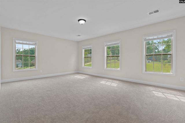 357 Bent Oak Drive, Chapin, SC 29036