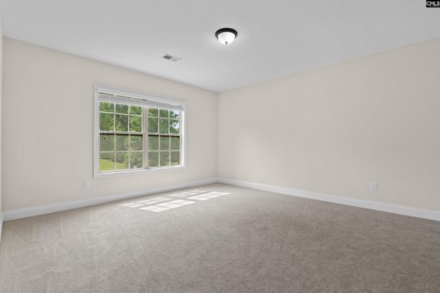 357 Bent Oak Drive, Chapin, SC 29036