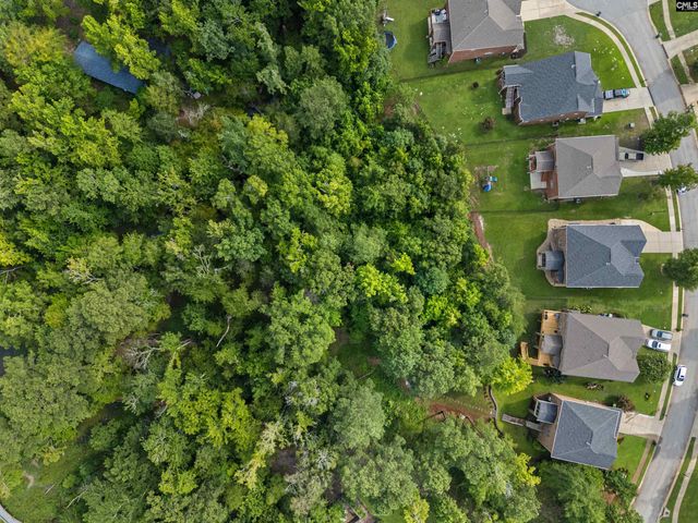 357 Bent Oak Drive, Chapin, SC 29036