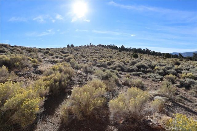 1541 Upland Drive, Baldwin Lake, CA 92314