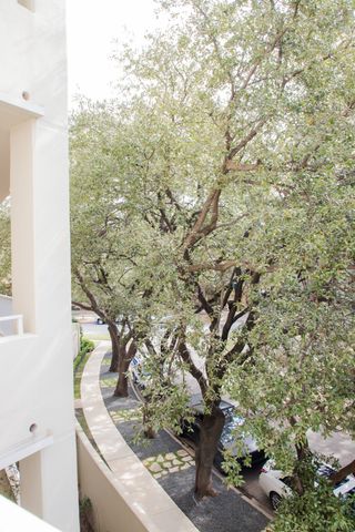 4500 Roland Avenue 304, Highland Park, TX 75219