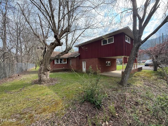 119 Mashburn Lane, Erwin, TN 37650