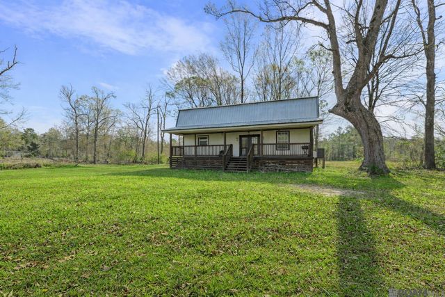 17220 Oak Ridge Dr, Livingston, LA 70754