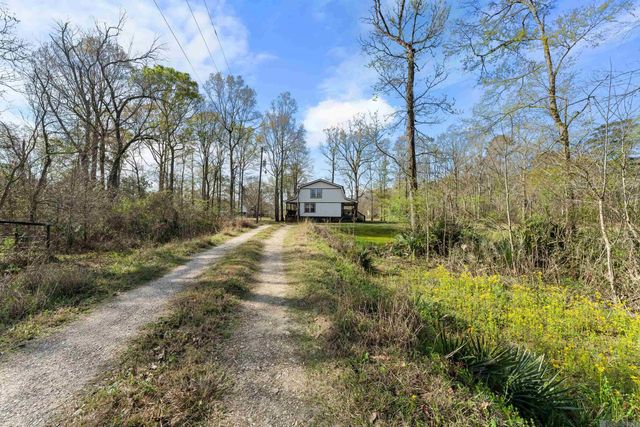 17220 Oak Ridge Dr, Livingston, LA 70754