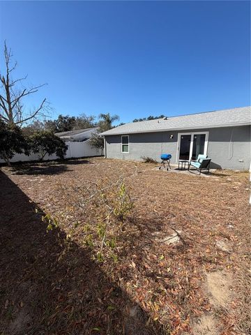 1407 PINEY BRANCH CIRCLE, Valrico, FL 33594