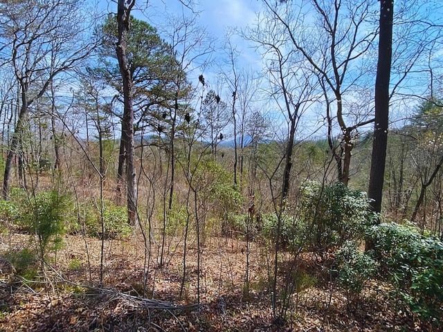 Lot 28 Brasstown Trails, Warne, NC 28909