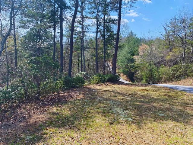 Lot 28 Brasstown Trails, Warne, NC 28909