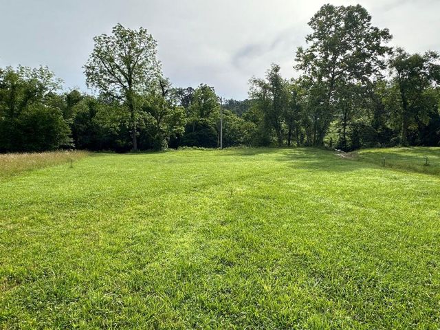 Lot 28 Brasstown Trails, Warne, NC 28909