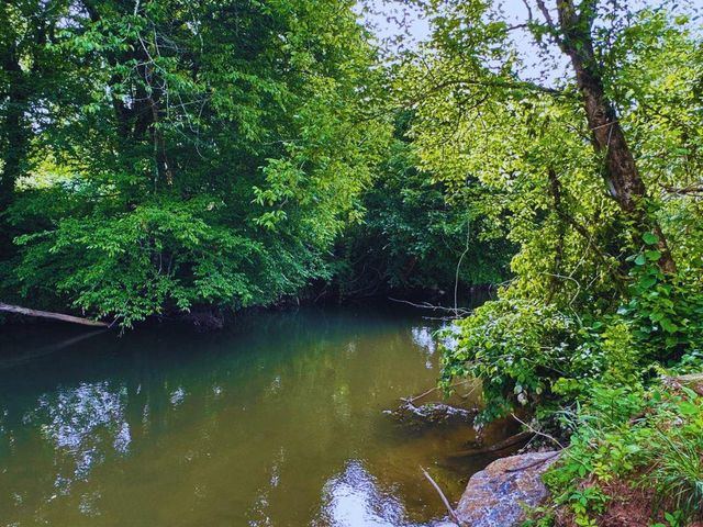 Lot 28 Brasstown Trails, Warne, NC 28909