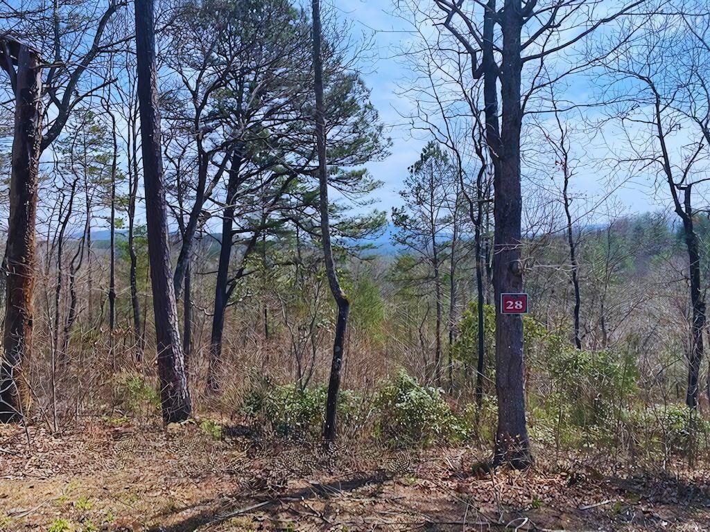Lot 28 Brasstown Trails, Warne, NC 28909