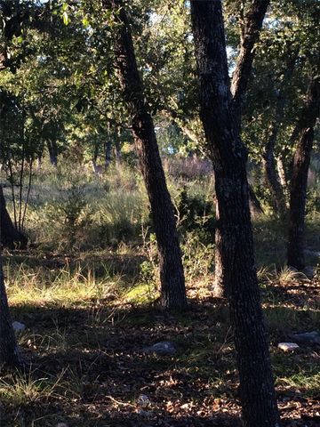 934 Beauchamp RD, Dripping Springs, TX 78620