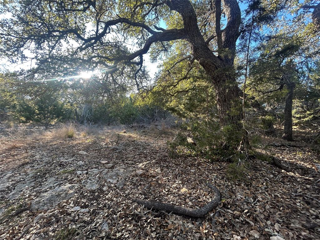 934 Beauchamp RD, Dripping Springs, TX 78620