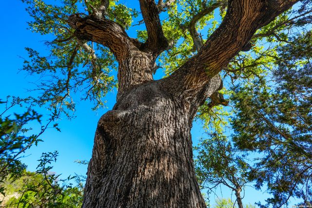 348 ROCKY ROAD, Pipe Creek, TX 78063