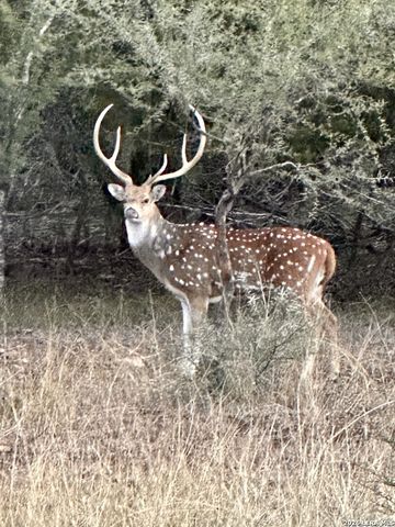 348 ROCKY ROAD, Pipe Creek, TX 78063