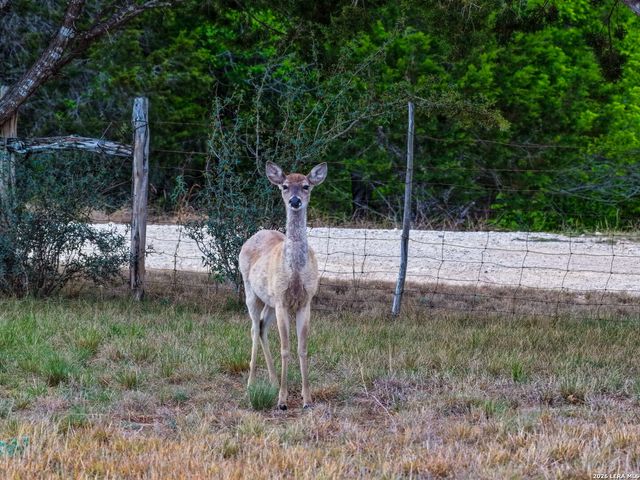 348 ROCKY ROAD, Pipe Creek, TX 78063