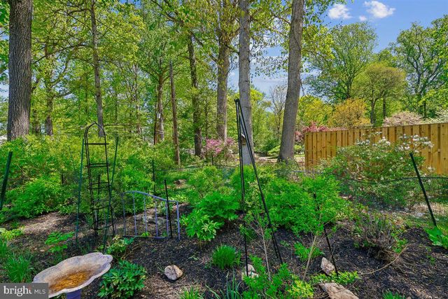 4318 PINETREE RD, Rockville, MD 20853
