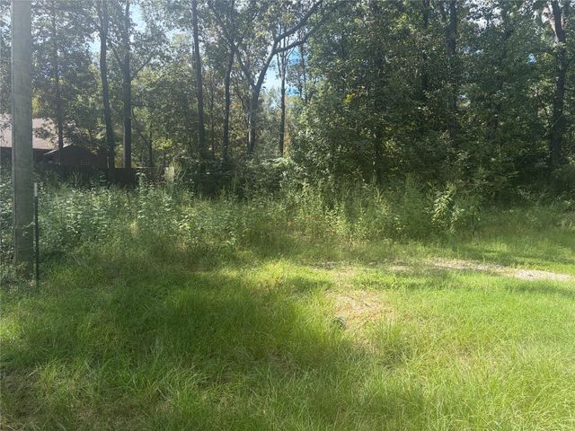 333 Beaver Run, Livingston, TX 77351