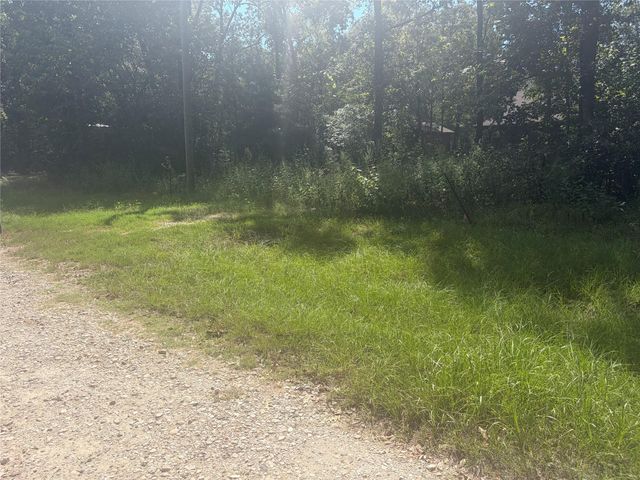 333 Beaver Run, Livingston, TX 77351