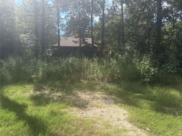 333 Beaver Run, Livingston, TX 77351