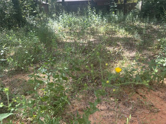 333 Beaver Run, Livingston, TX 77351