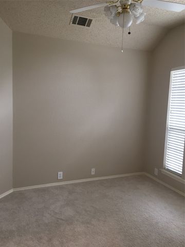 10909 Reisling Drive, Frisco, TX 75035