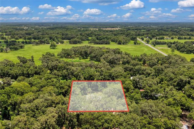 3151 NE 176TH TERRACE, Williston, FL 32696