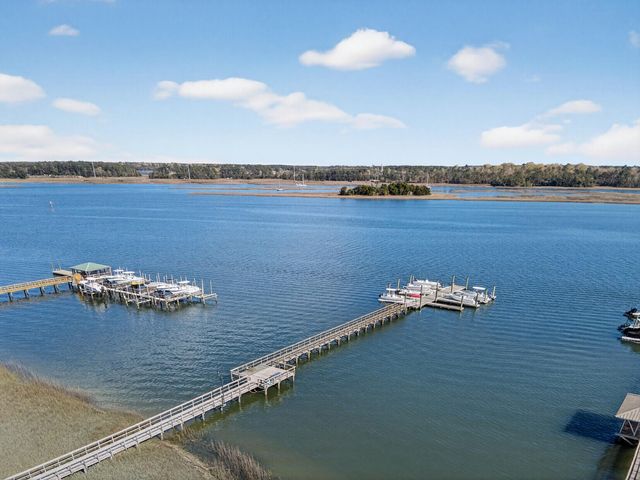 1230 River Walk Court, Charleston, SC 29492