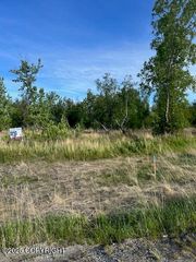 1383 N Cedar Hls Drive, Palmer, AK 99645