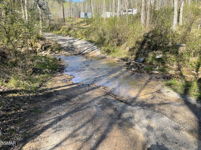 1120 Yellow Springs Road, Cosby, TN 37722