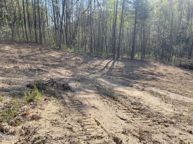 1120 Yellow Springs Road, Cosby, TN 37722